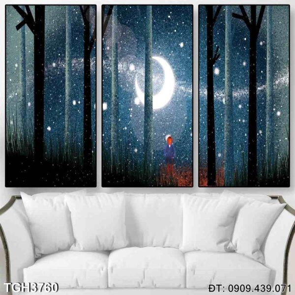 Tranh Treo Tuong Tgh3760