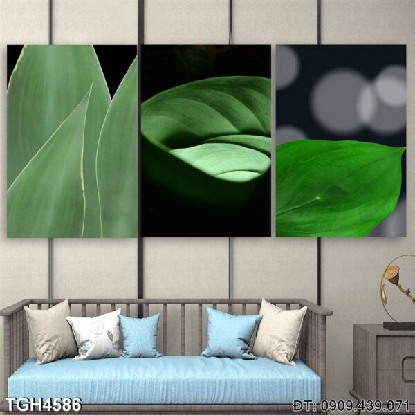 Tranh Treo Tuong Tgh4586