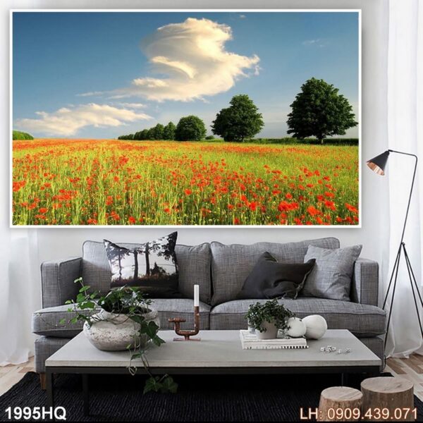 Hình ảnh hoa đẹp - 1995HQ