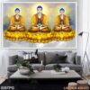 Tranh thờ Phật trang nghiêm - 025PG