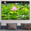 Bức tranh sen in laminate - 1433TCK