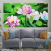 Ảnh cánh sen in laminate - 1929TCK
