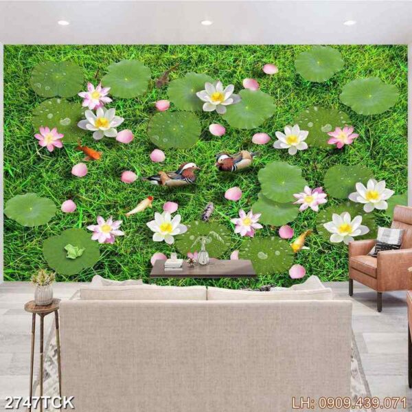 Ảnh đóa sen ấn tượng - 2747TCK